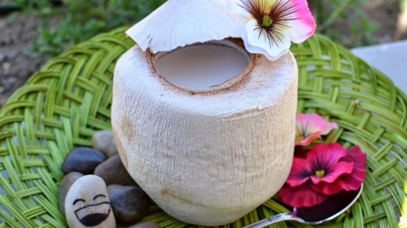 Thạch dừa xiêm (1 quả)