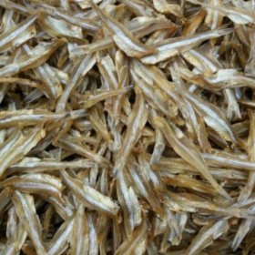 Cá chỏng cơm loại ngon (1kg)