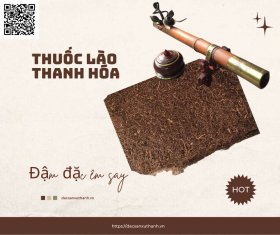 Thuốc lào sạch Thanh Hóa (đặc biệt)