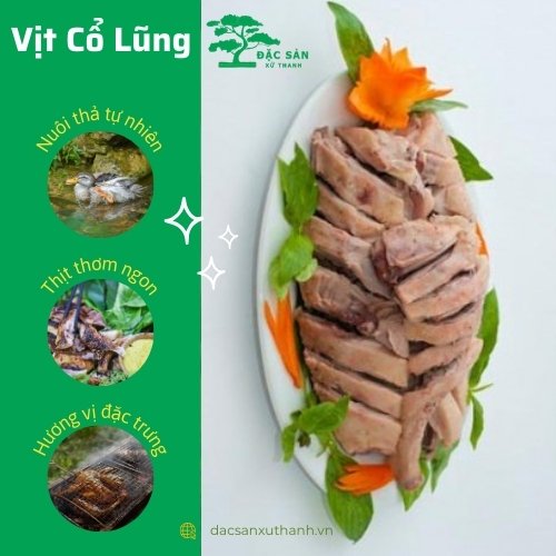 Vịt cổ lủng (1 con sống)