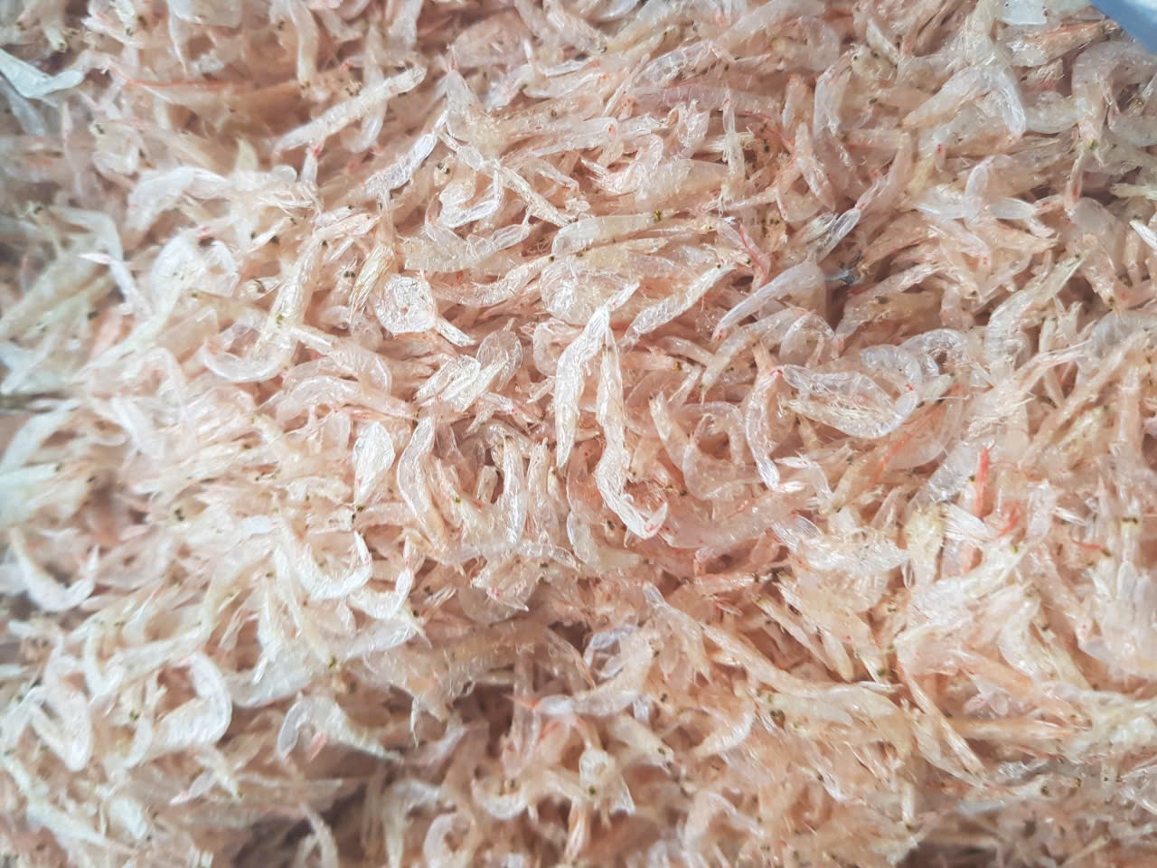 Moi khô (1kg - hàng loại 2)